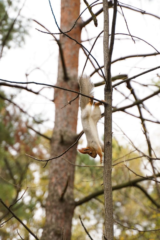 Photograph by Надежда Бехер