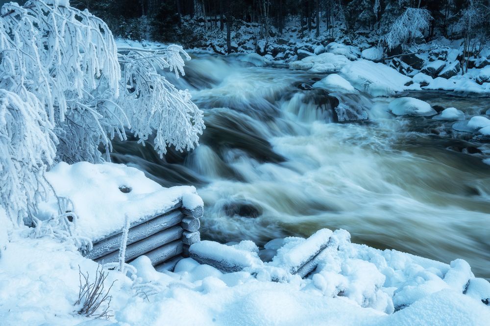 Photograph by Ирина Мошковская