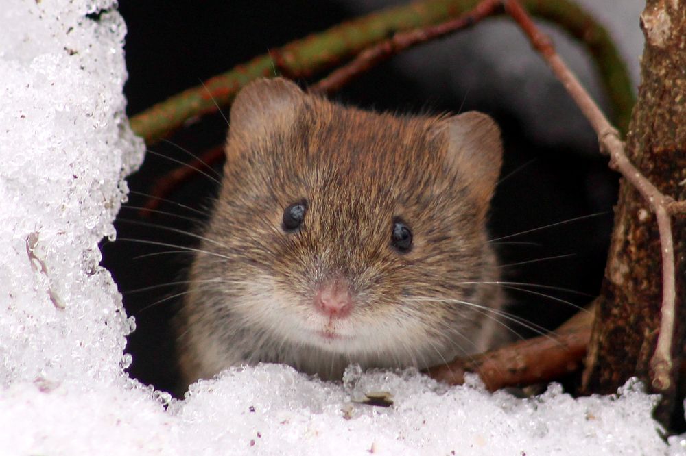 Photograph by Юрий Соколков