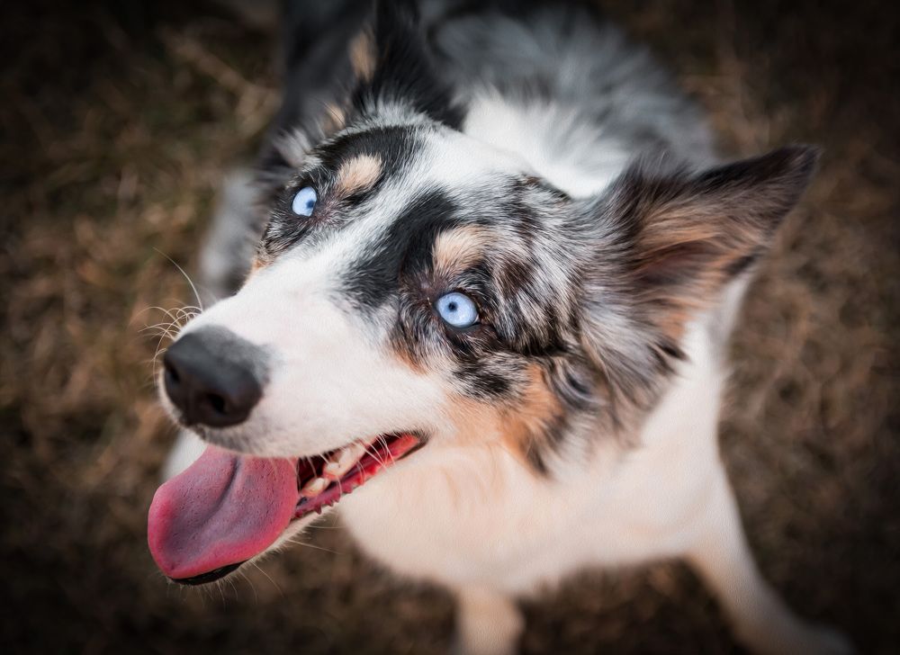 Photograph by GABRIELA MELLO