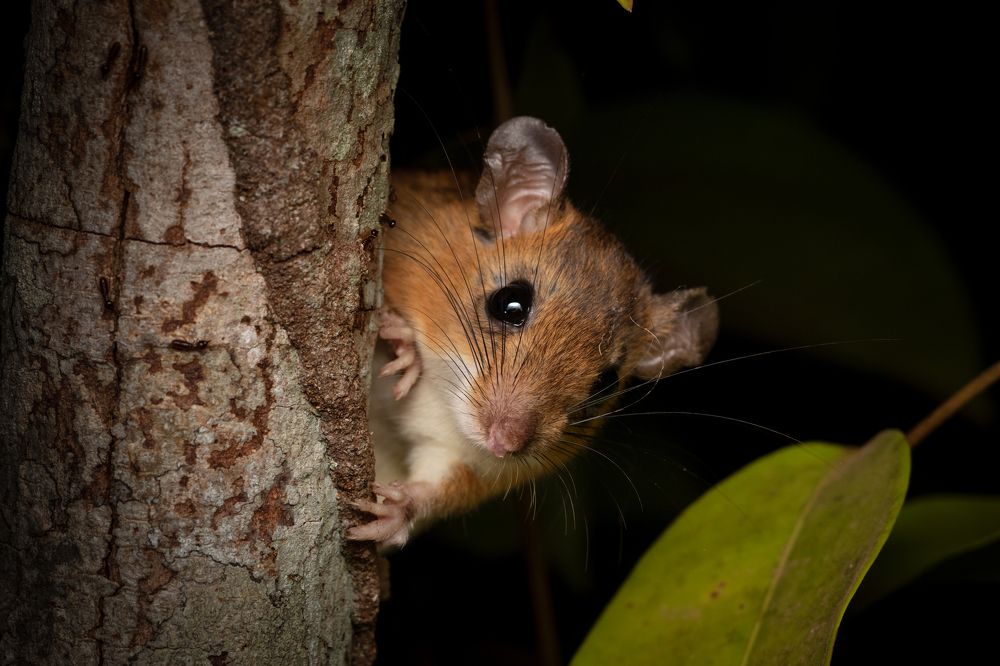 Photograph by Valdir Hobus