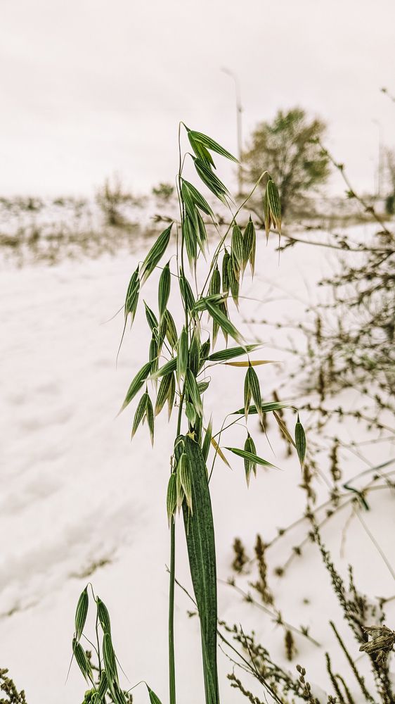 Photograph by Ирина Лузянина