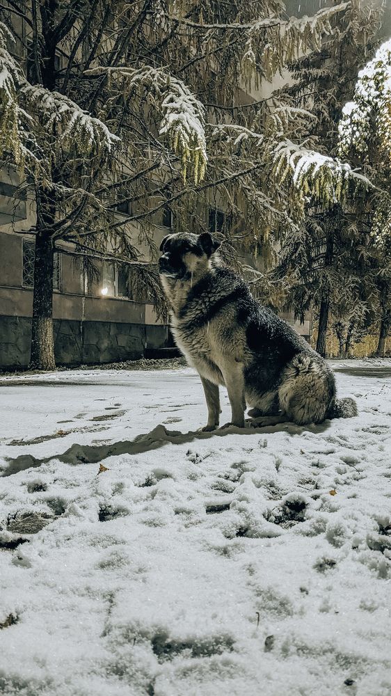 Photograph by Ирина Лузянина