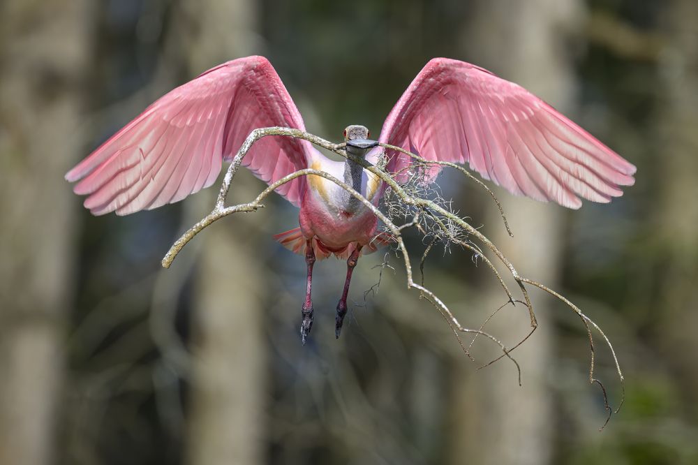 Photograph by Nancy Koch