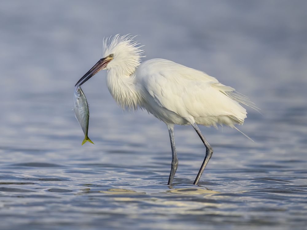 Photograph by Nancy Koch