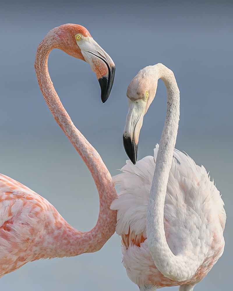 Photograph by Nancy Koch