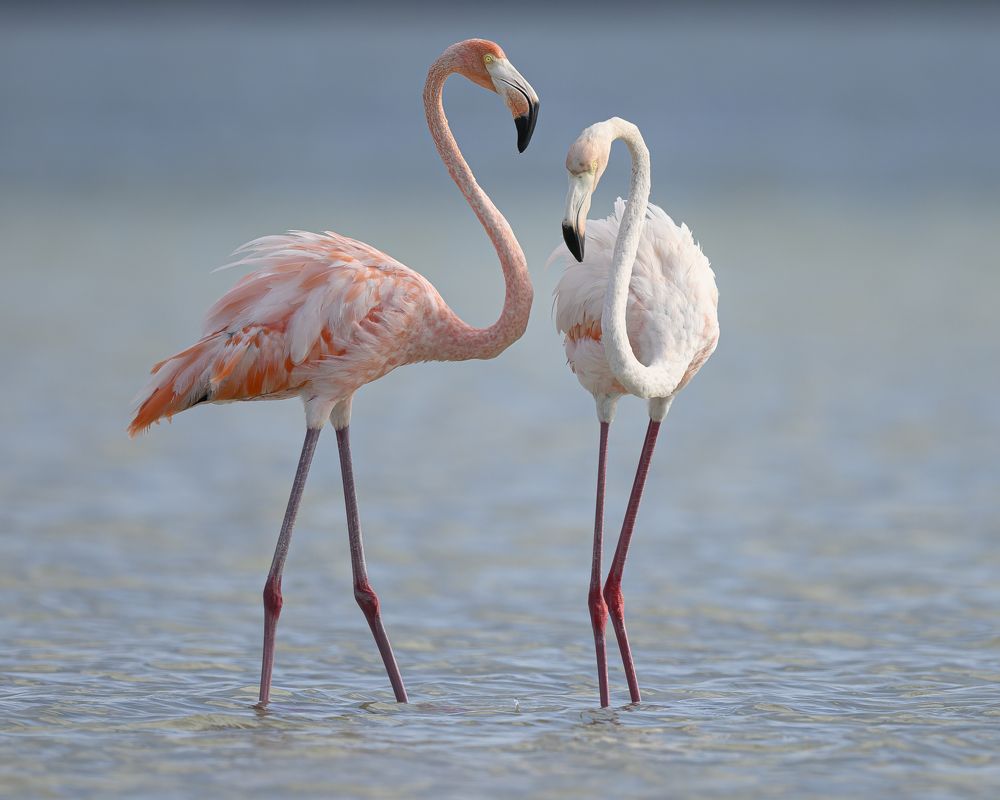 Photograph by Nancy Koch