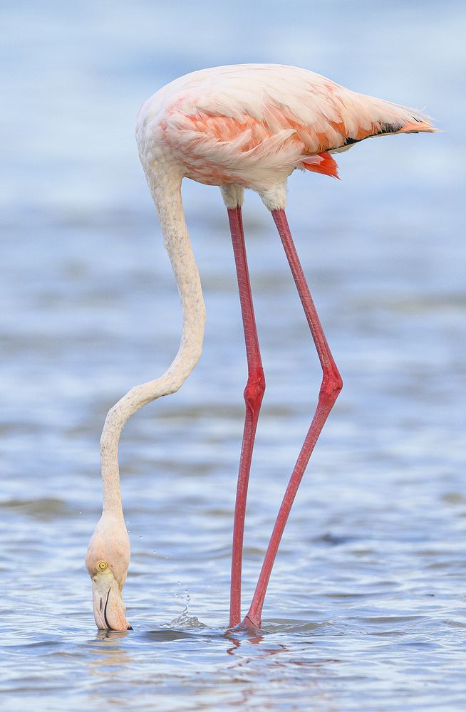 Photograph by Nancy Koch