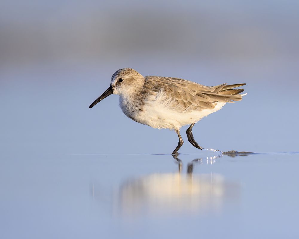 Photograph by Nancy Koch