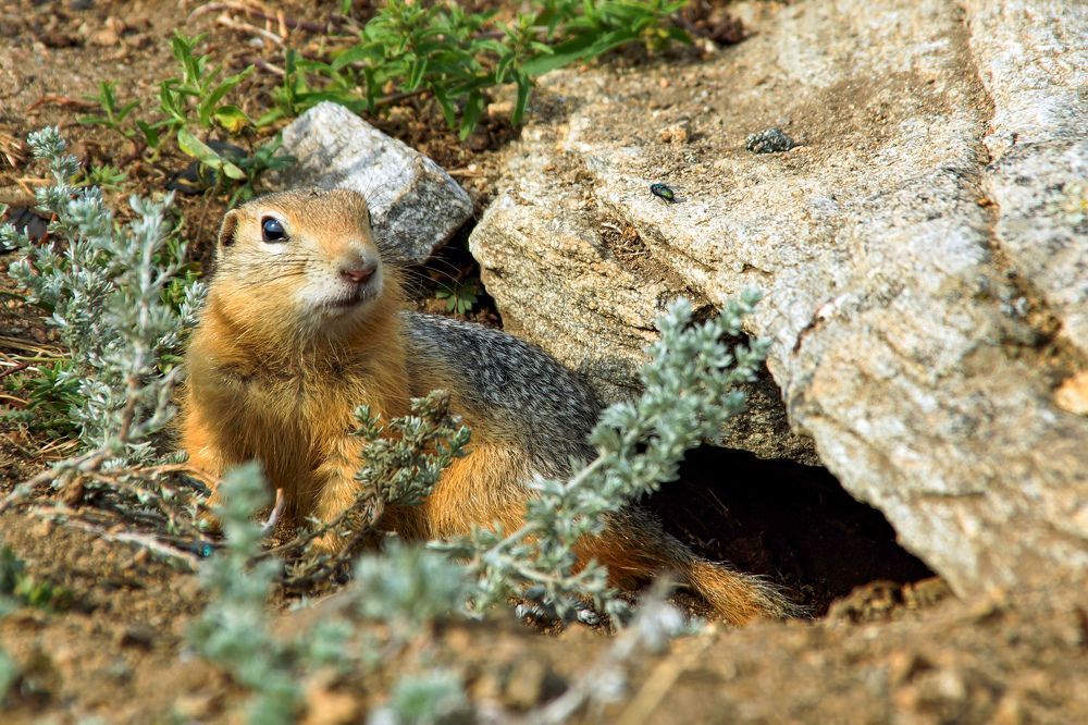 Photograph by Николай Семенов