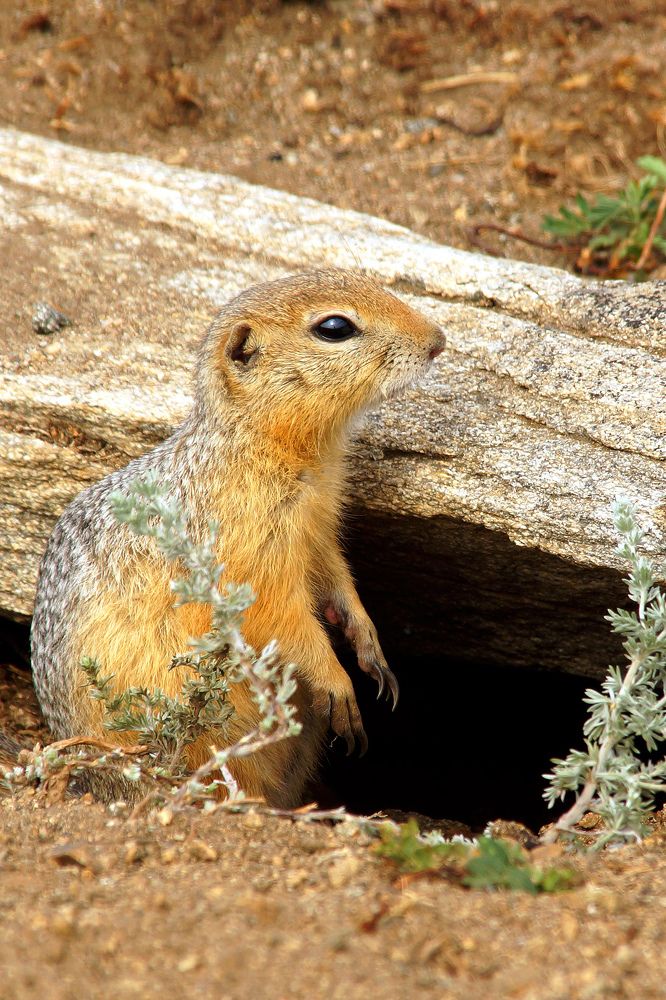 Photograph by Николай Семенов