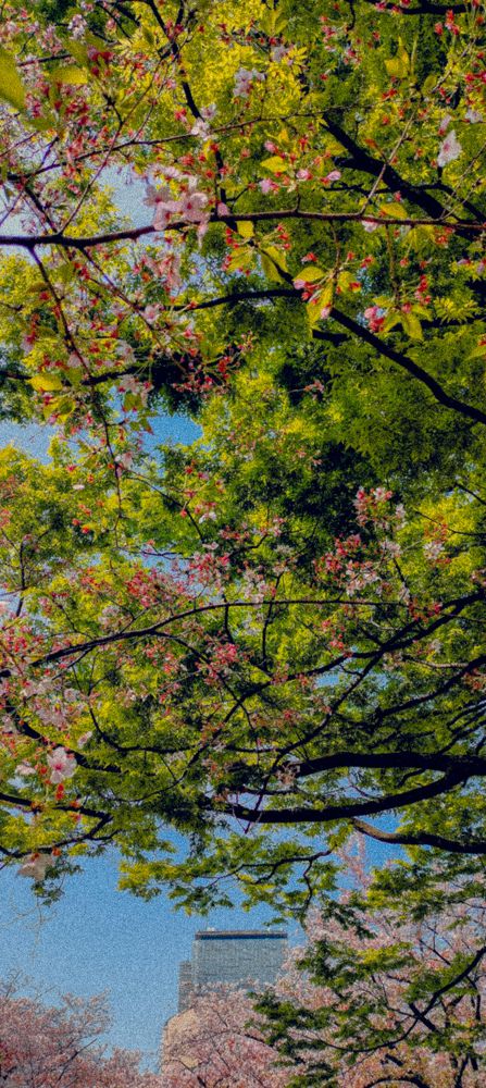 Photograph by Thankachan Lithin