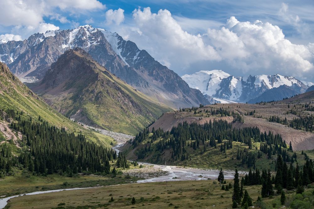 Фотография автора Andrey Shishkalov