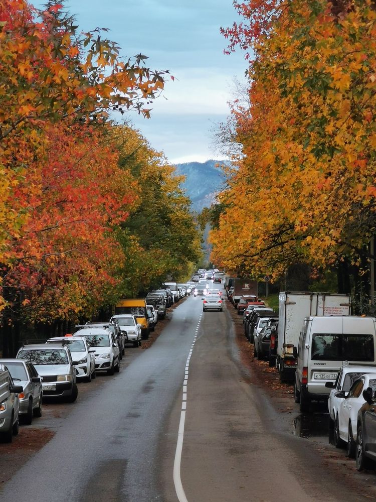 Photograph by Анастасия Бреева