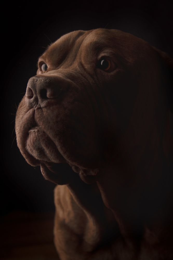 Photograph by Оксана Клюжева