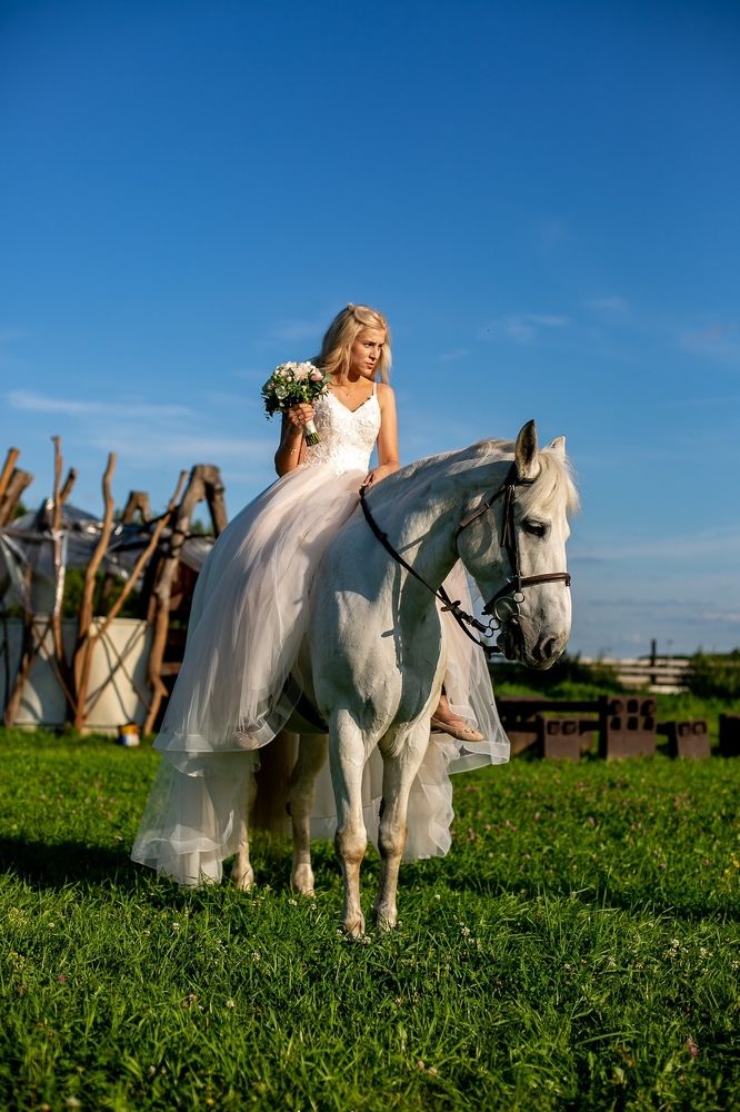 Фотография автора Дмитрий Храмцов