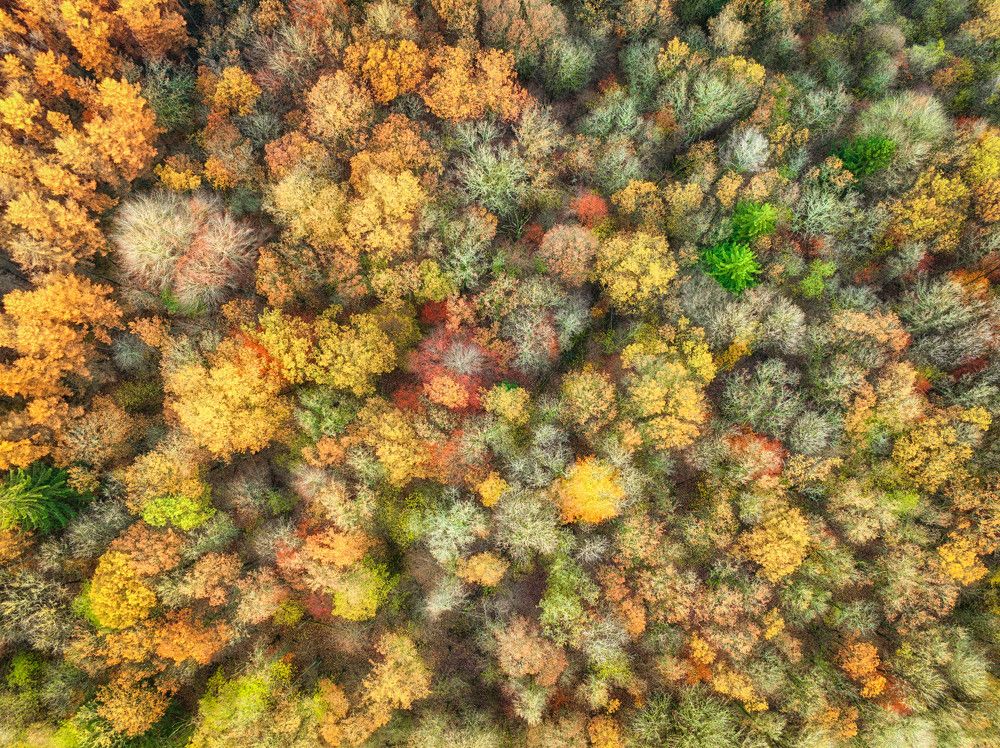 Photograph by Guy Krier