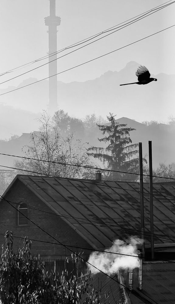 Photograph by Александр Шаварёв