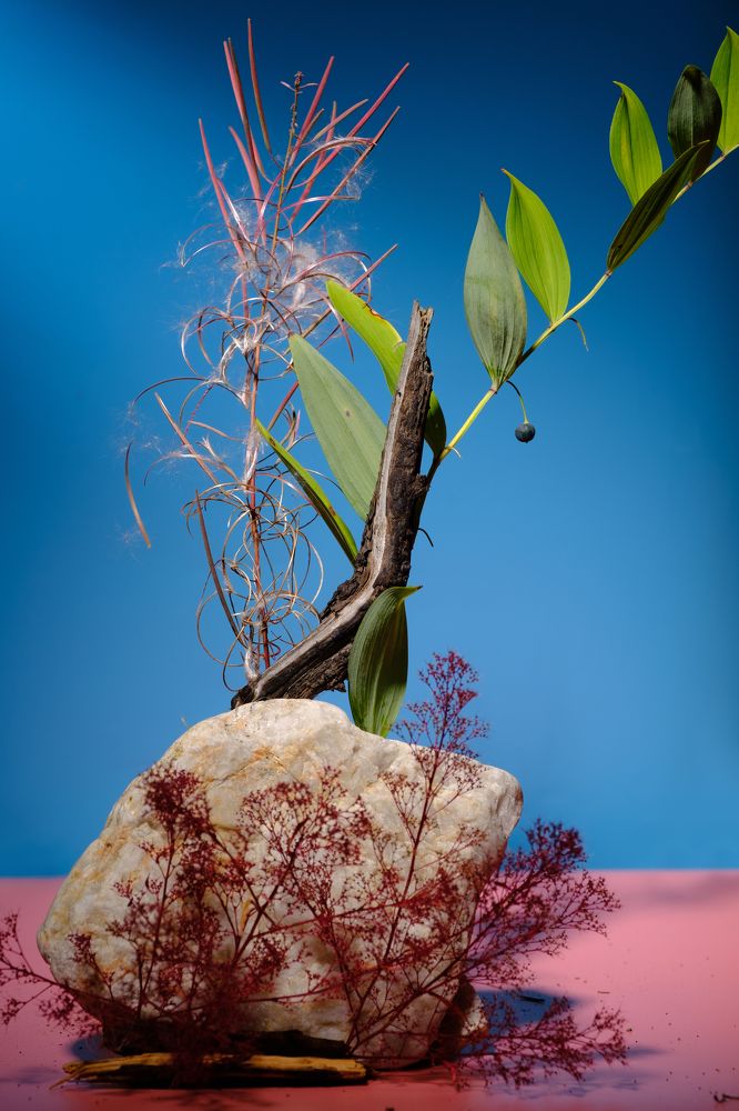 Photograph by Максим Сидоров