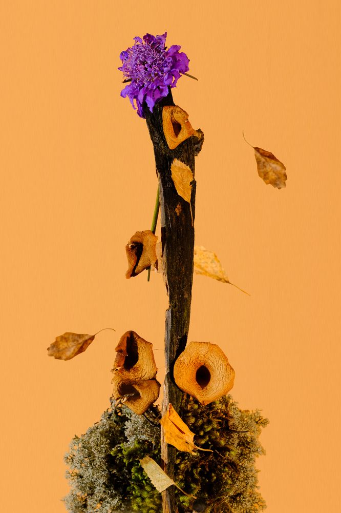 Photograph by Максим Сидоров