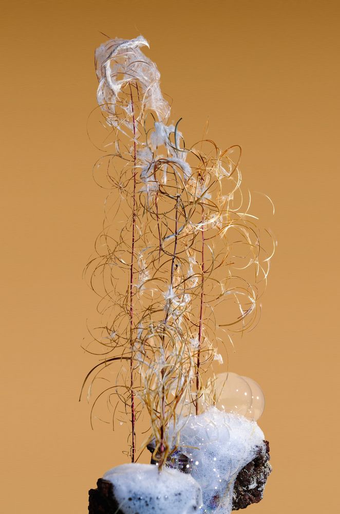 Photograph by Максим Сидоров