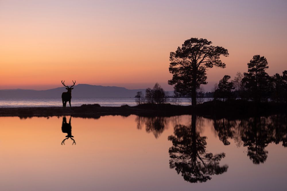 Photograph by Ольга Янкавцева