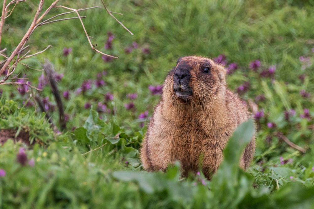Photograph by Алена Евгеньевна