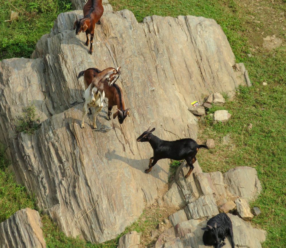 Photograph by Susmita Paul