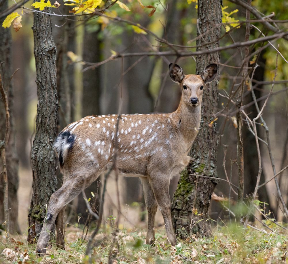 Photograph by Юрий Чернов