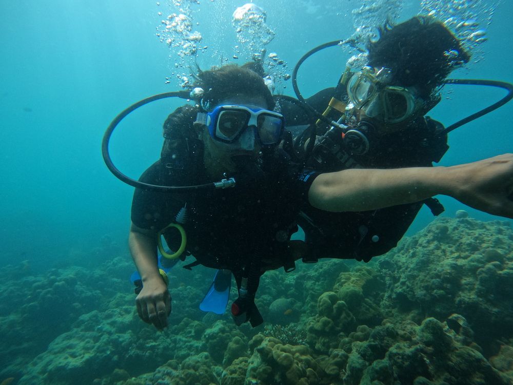 Photograph by Susmita Paul