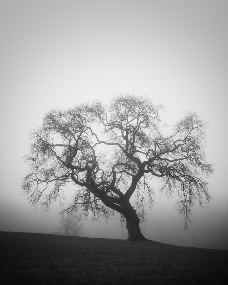 Photograph by Petrov Ivaylo