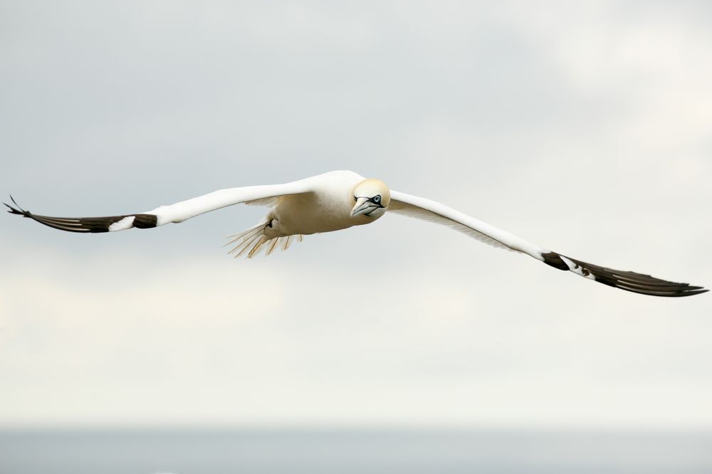 Photograph by Petrov Ivaylo
