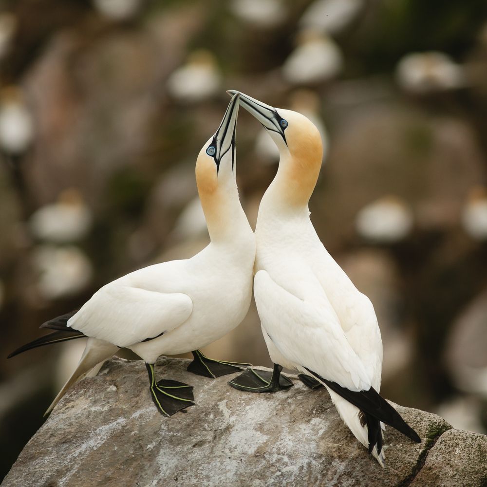 Photograph by Petrov Ivaylo