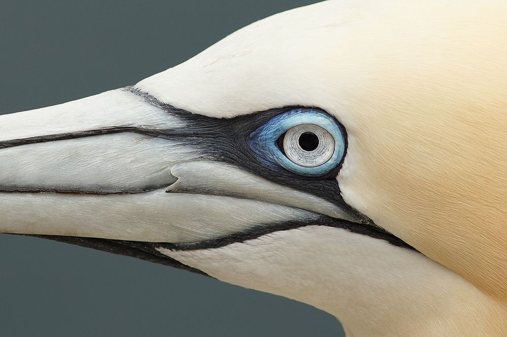 Photograph by Petrov Ivaylo