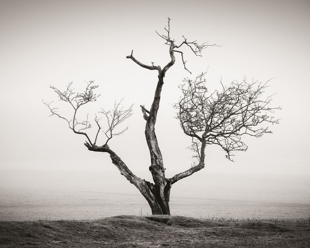 Photograph by Petrov Ivaylo