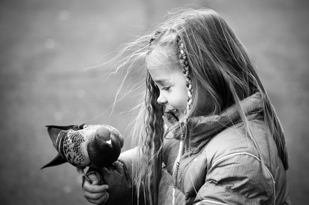 Photograph by Petrov Ivaylo