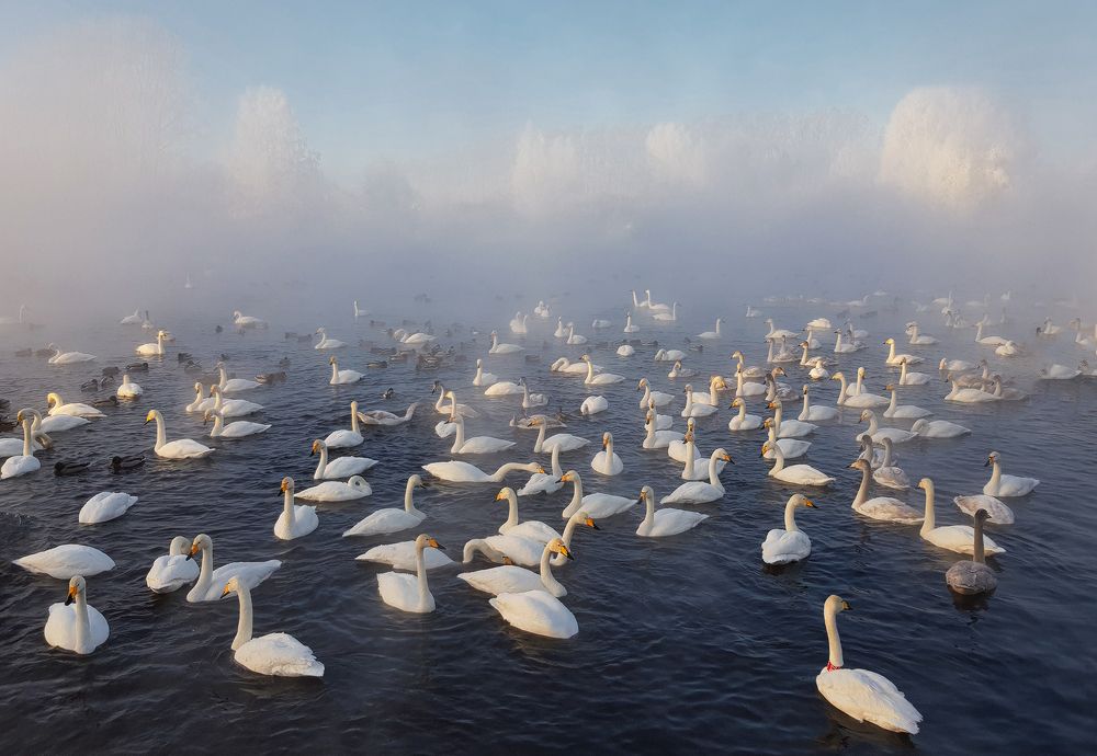 Photograph by Галина Хвостенко