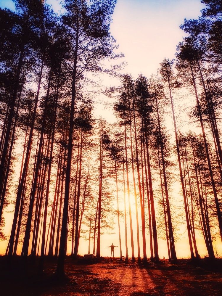 Photograph by Сергей Никифоров