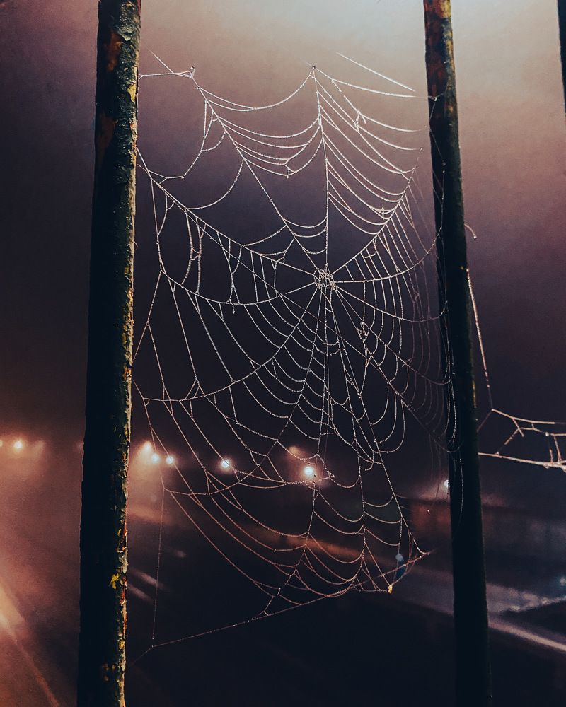 Photograph by Козинец Александр