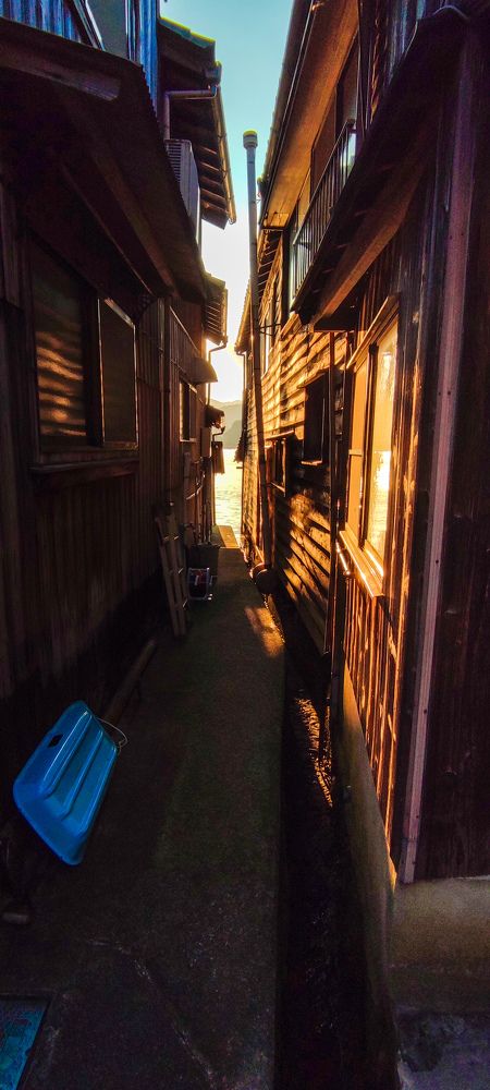 Photograph by Elza