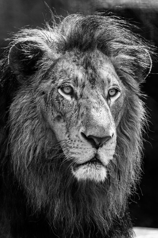 Фотография автора Navamani James