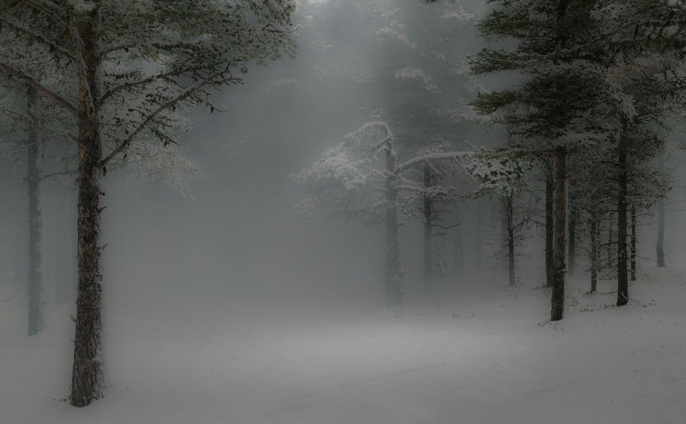 Photograph by Виктор Рыков