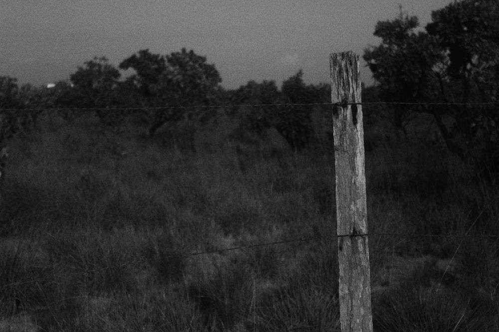 A plenitude da simplicidade