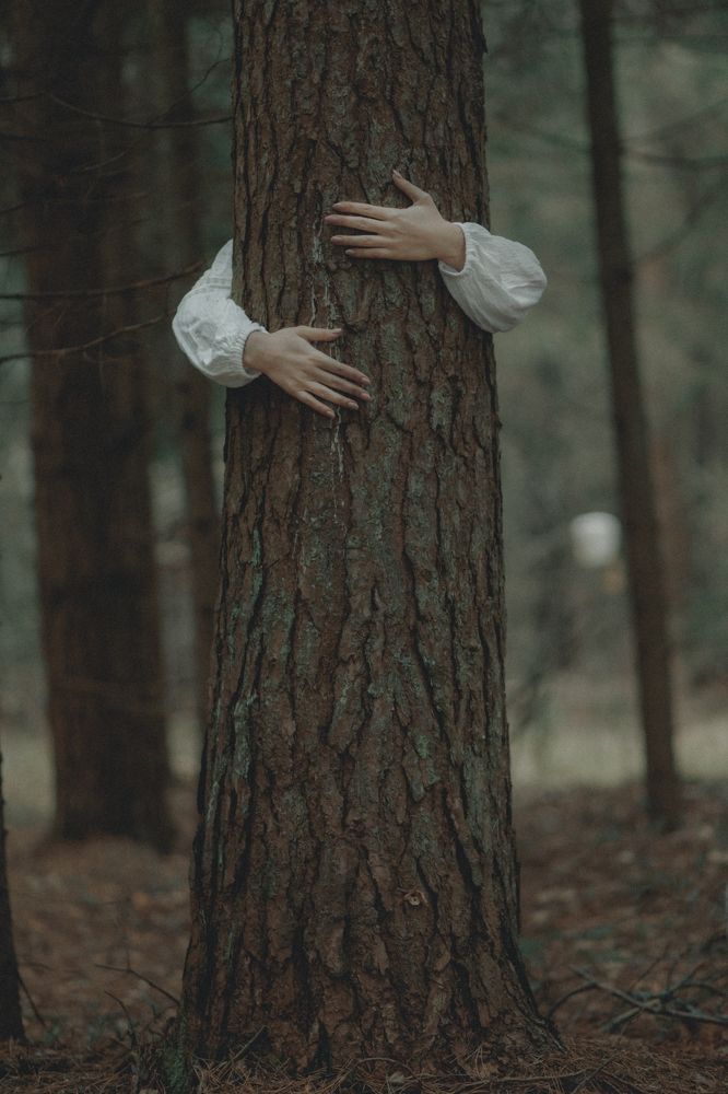 Photograph by Михеев Павел