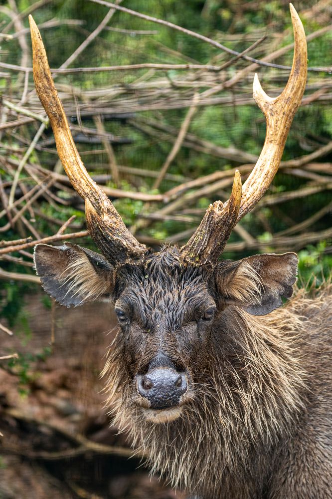 Фотография автора Navamani James