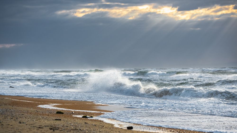 Photograph by Наталья Орел