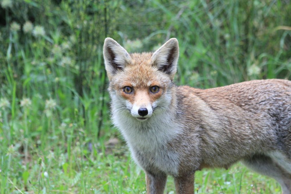 Photograph by Nadzeya