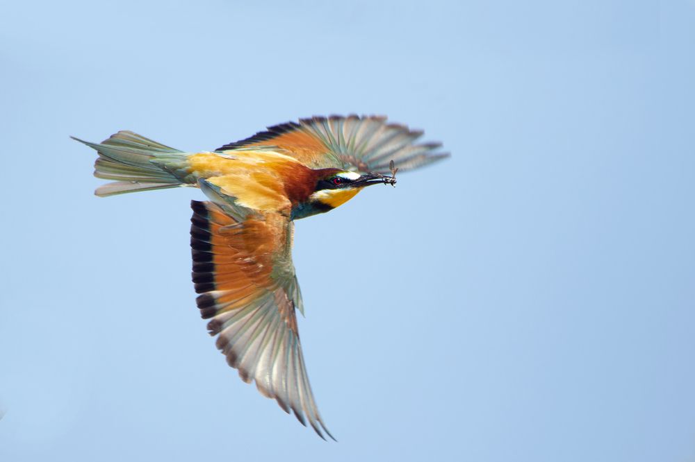 Photograph by Светлана Барабанщикова