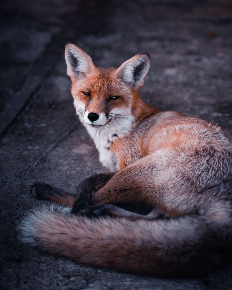 Photograph by Oleksii Pereverziev