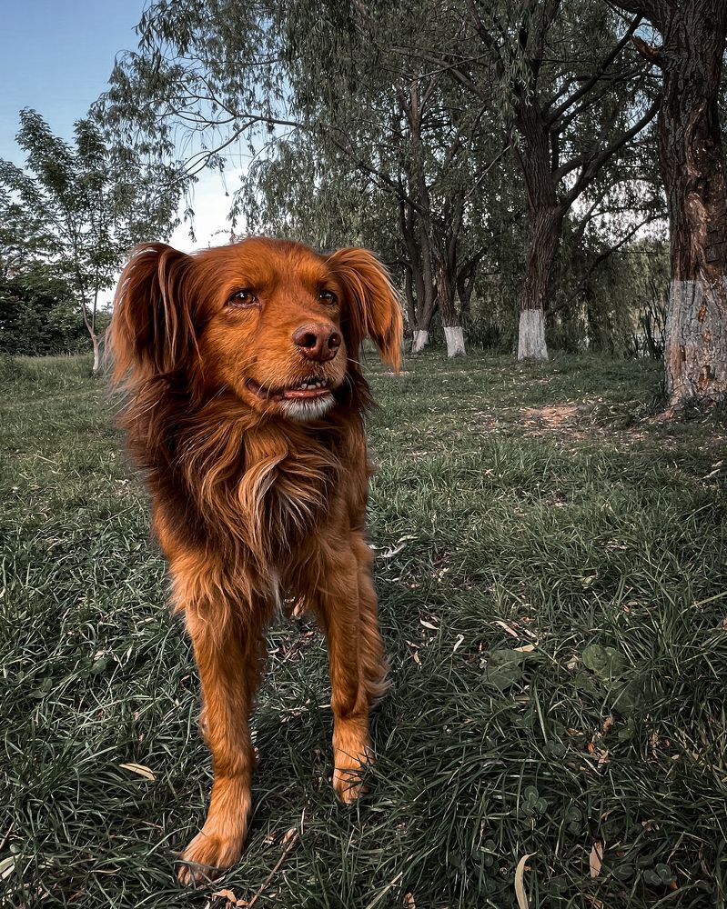 Photograph by Oleksii Pereverziev